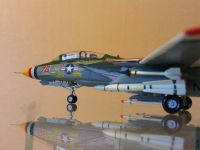 F-14 010
